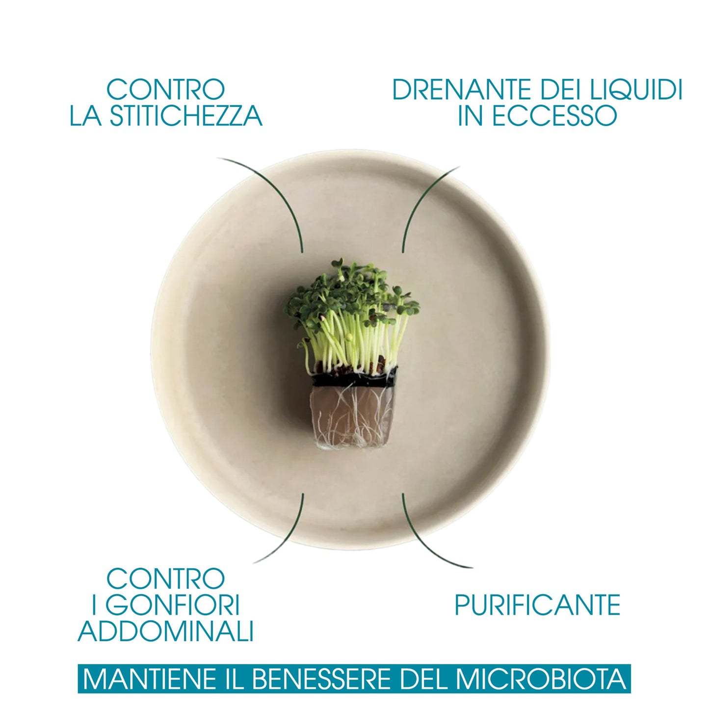 CiboCi Everytime Confezione da 25 pezzi 250 gr.