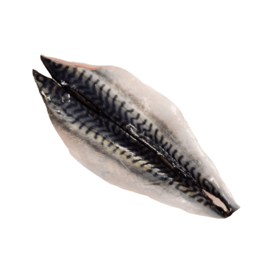 Sgombro - 2 filetti freschi da 170 g - 4Nutrition
