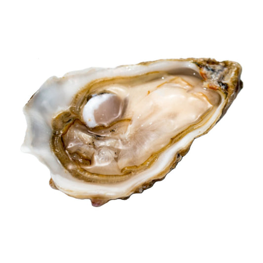 Ostriche Gillardeau calibro 3 - 12 pz (4,9 €/pz)