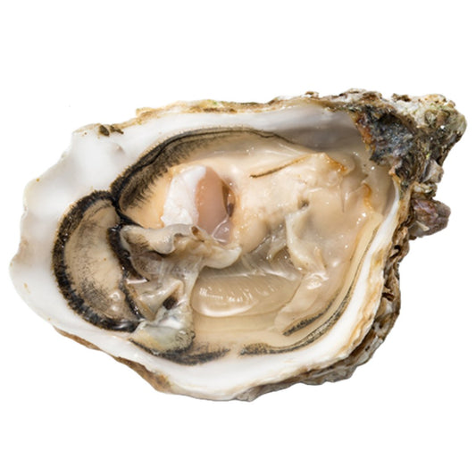 Ostriche Spéciale Geay calibro 3 - 12 pz (3,7 €/pz)