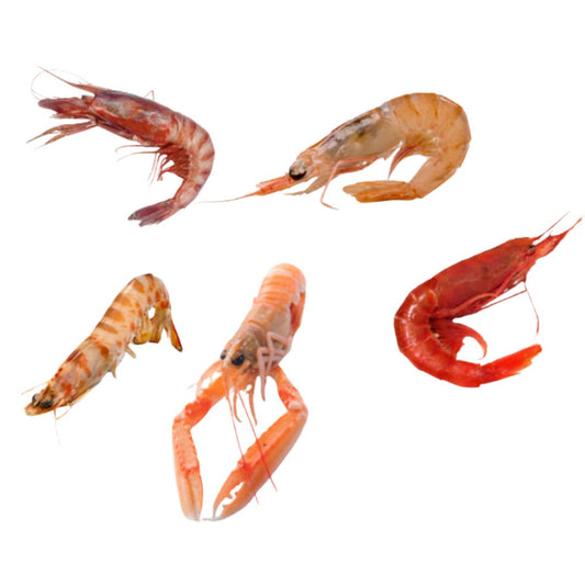 Mix Crostacei 5 pz