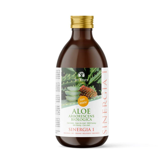 Aloe Arborescens Padre Zago | SINERGIA 1 | 500ml - Ricetta Originale Bio - 4Nutrition