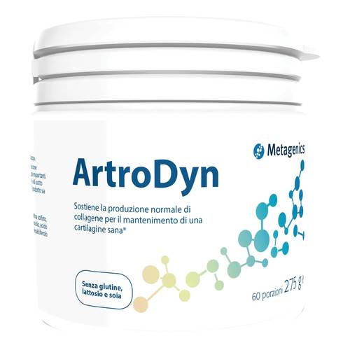 Artrodyn 60 porzioni 275 gr
