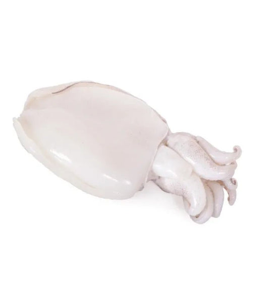 Seppia cotta a bassa temperatura - busta da 400 gr.