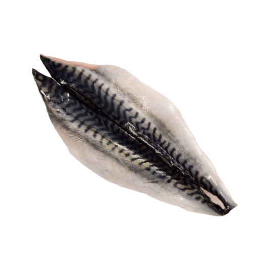 Sgombro - 2 filetti freschi da 170 g - 4Nutrition